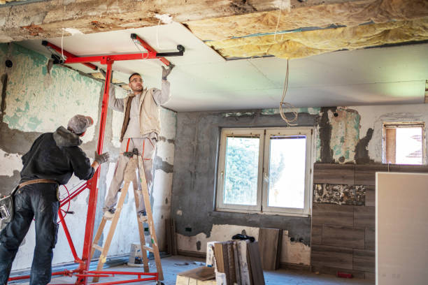 Best Professional Insulation Contractor  in Savage, MN