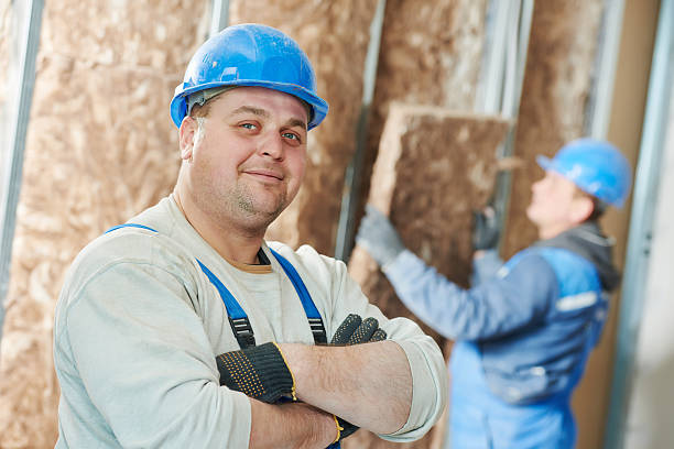 Best Insulation for New Construction  in Savage, MN